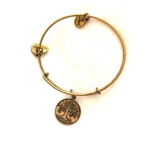 Alex and Ani